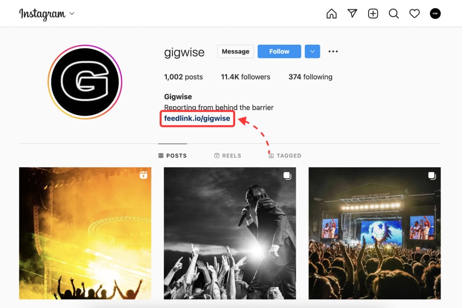 example of a link in Instagram bio