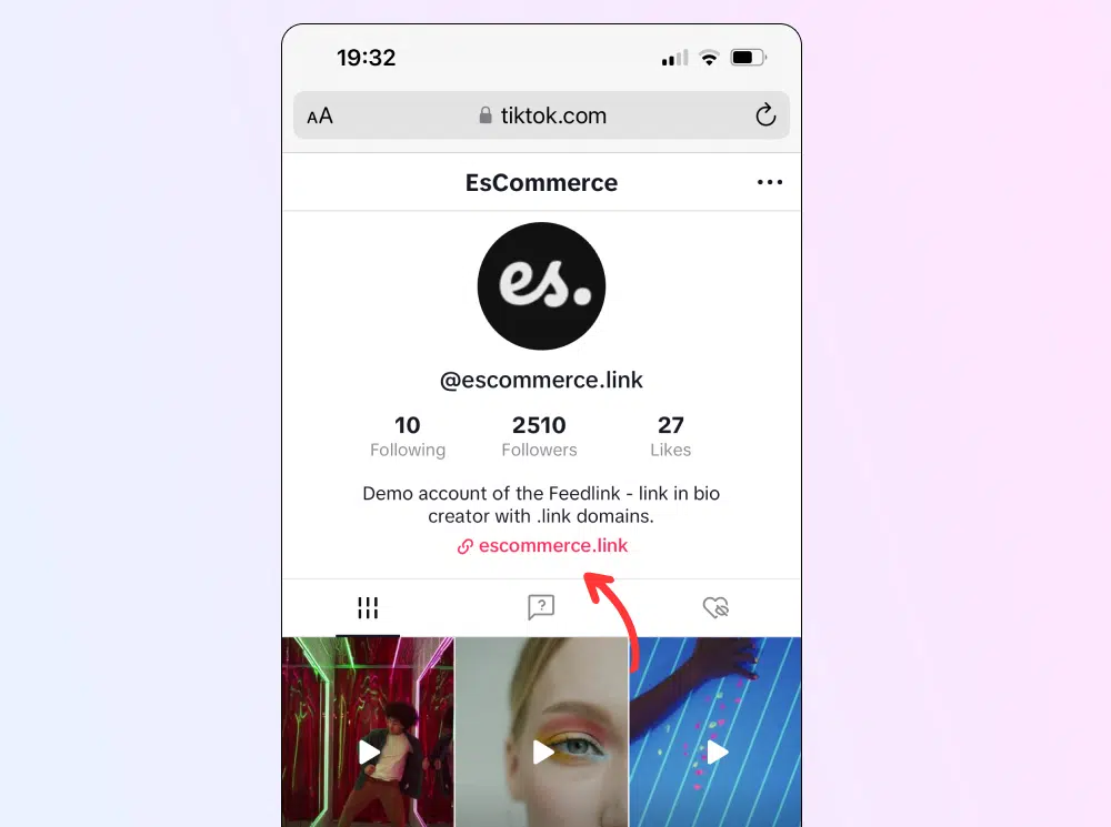 Exemplo de link na biografia do TikTok